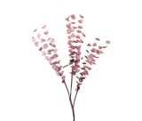 1P133 Umelá kvetina Eukalyptus pink 
