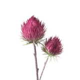 1P134 Umelá kvetina Protea 