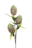 1P198 Umelá kvetina Protea Nitida zelená, H92cm