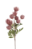 1P204 Umelá kvetina Callistemon Citrinus, Ružová H92cm
