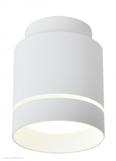 Stropné svietidlo TUBA White LED12W, H10,2 cm