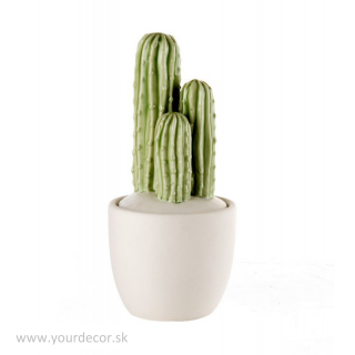 1L22 Dóza Kaktus, H18,5 cm