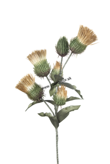 1P202 Umelá kvetina Wild Safflower orech, H90cm
