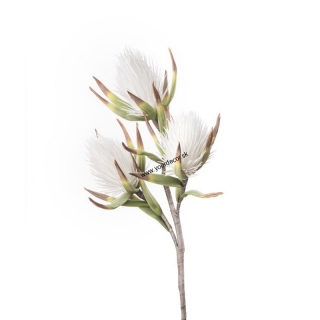 1P120 Umelá kvetina White Callistemon 